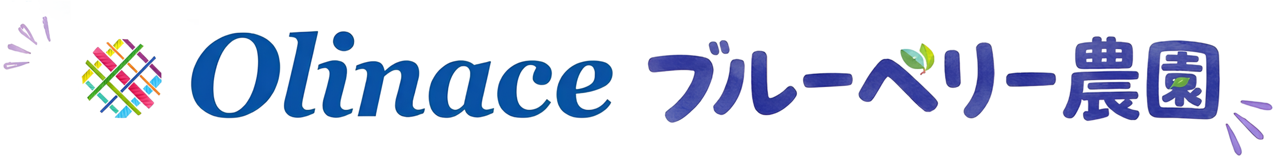 Olinace ブルーベリー農園